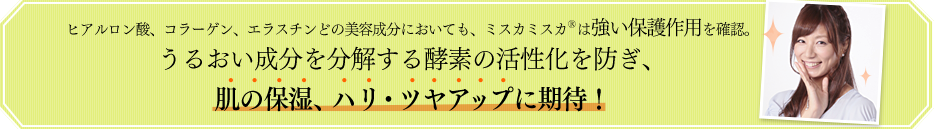 ヒアルロン酸、コラーゲン、エラスチンどの美容成分においても、ミスカミスカ<sup>®</sup>は強い保護作用を確認。うるおい成分を分解する酵素の活性化を防ぎ、肌の保湿、ハリ・ツヤアップに期待！