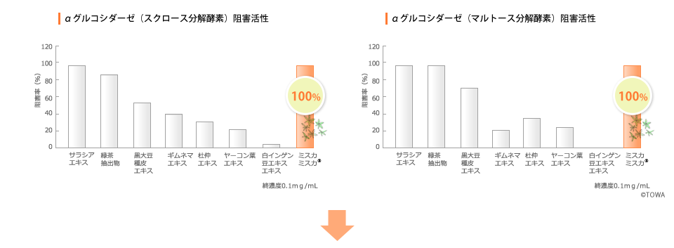 αグルコシダーゼ（スクロース分解酵素）阻害活性、αグルコシダーゼ（マルトース分解酵素）阻害活性