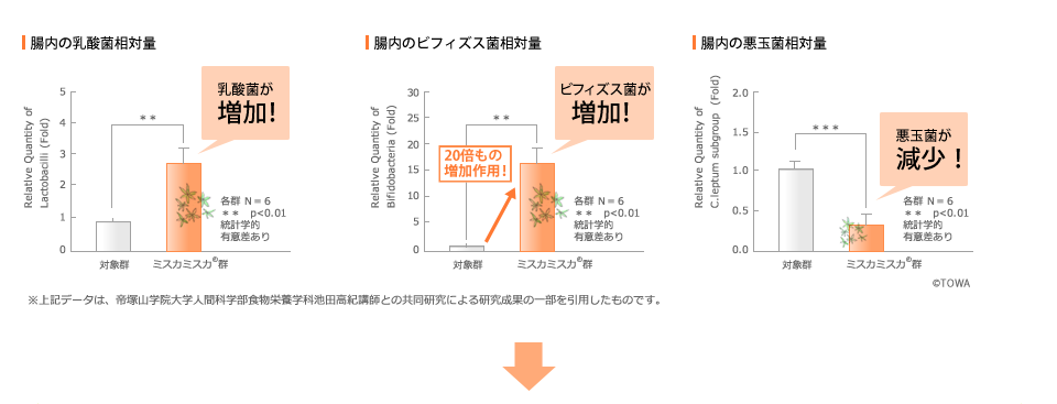 腸内の乳酸菌相対量、腸内のビフィズス菌相対量、腸内の悪玉菌相対量