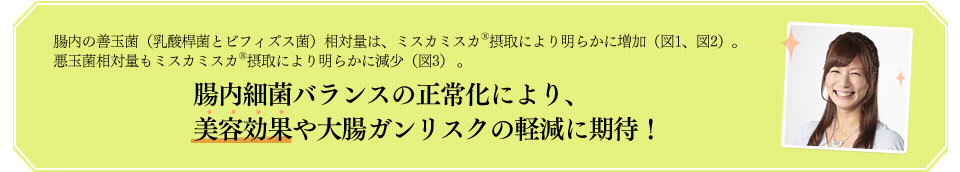 腸内の善玉菌（乳酸桿菌とビフィズス菌）相対量は、ミスカミスカ<sup>®</sup>摂取により明らかに増加（図1、図2）。悪玉菌相対量もミスカミスカ<sup>®</sup>摂取により明らかに減少（図3） 。腸内細菌バランスの正常化により、美容効果や大腸ガンリスクの軽減に期待！