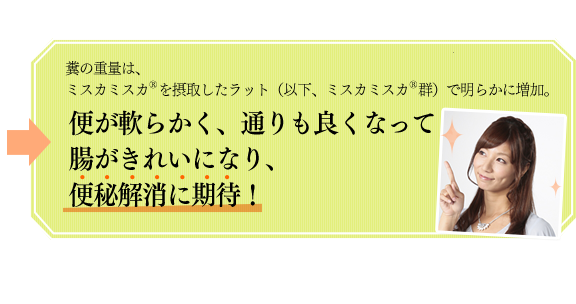 糞の重量は、ミスカミスカ<sup>®</sup>を摂取したラット（以下、ミスカミスカ<sup>®</sup>群）で明らかに増加。便が軟らかく、通りも良くなって腸がきれいになり、便秘解消に期待！